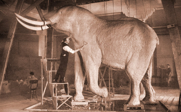 Welcome to the Taxidermy Hall of Fame – Taxidermy Hall of Fame