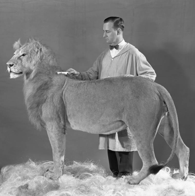 James L Clark Taxidermy Hall Of Fame